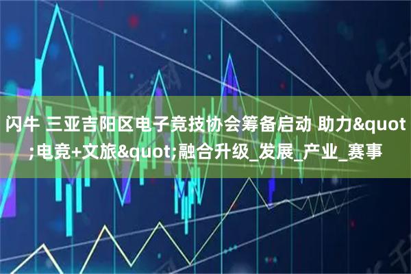 闪牛 三亚吉阳区电子竞技协会筹备启动 助力"电竞+文旅"融合升级_发展_产业_赛事