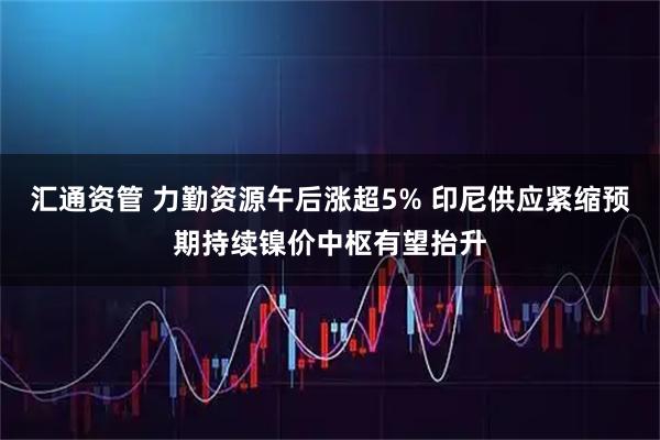 汇通资管 力勤资源午后涨超5% 印尼供应紧缩预期持续镍价中枢有望抬升